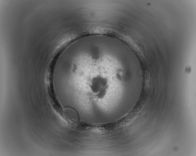 X0000100370683200806131038