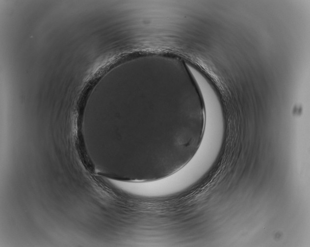 X0000100370685200806131038