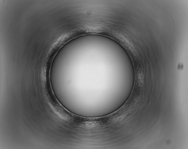 X0000100370686200806131038