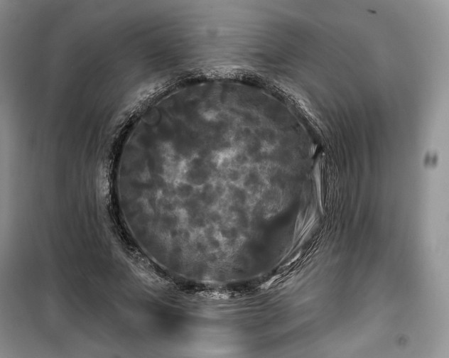 X0000100370687200806131038