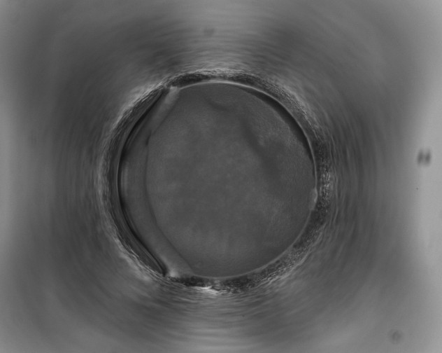 X0000100370688200806131038