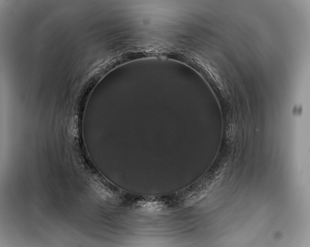 X0000100370689200806131038