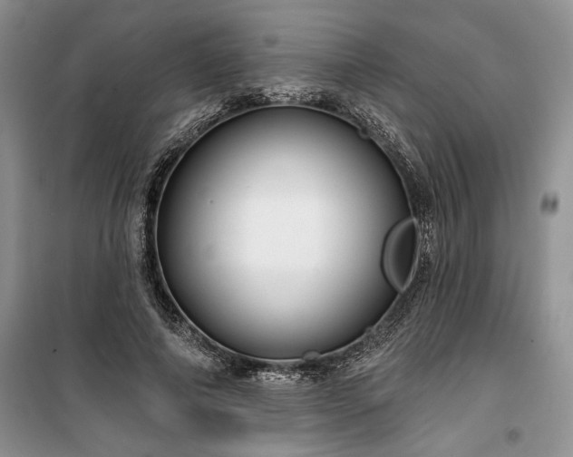 X0000100370690200806131038