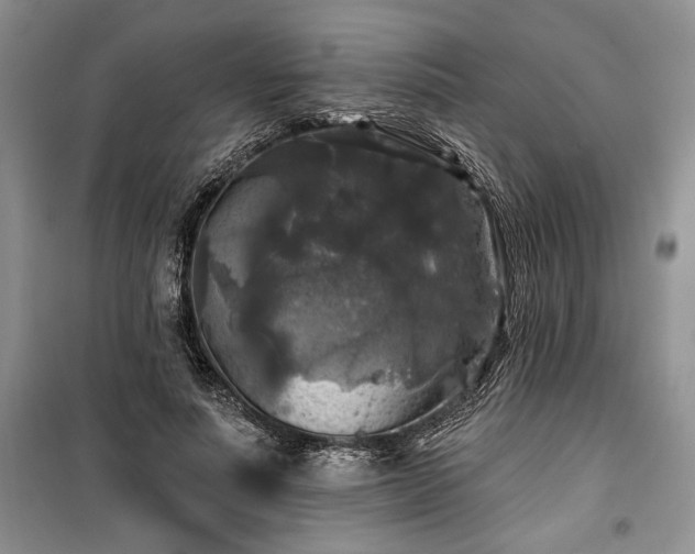 X0000100370691200806131038