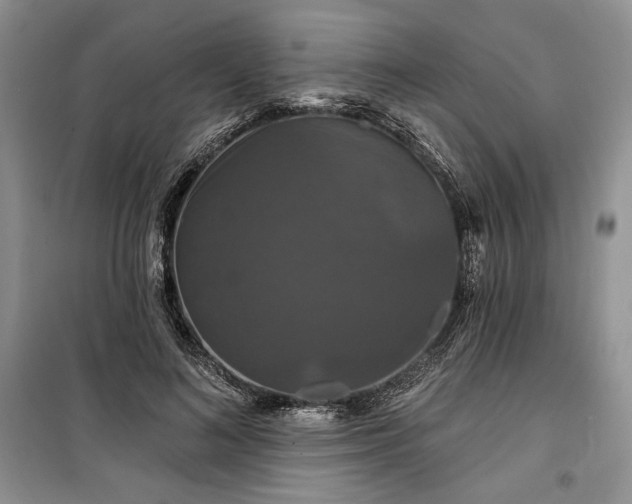 X0000100370692200806131038