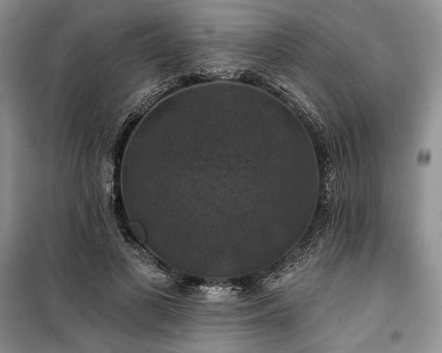 X0000100370693200806131038