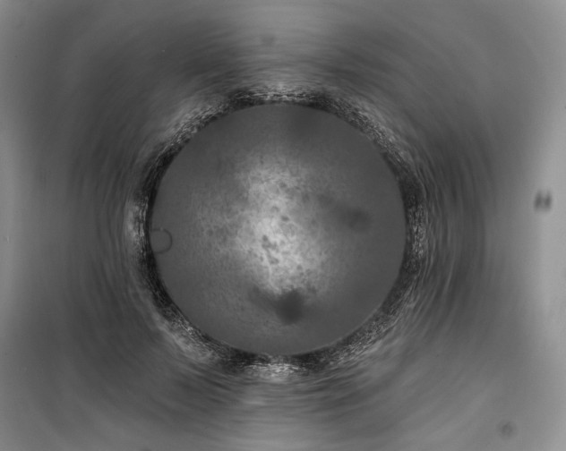 X0000100370695200806131038