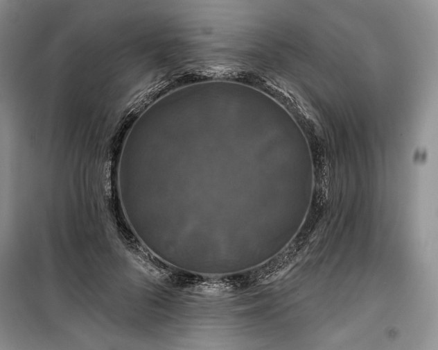 X0000100370696200806131038