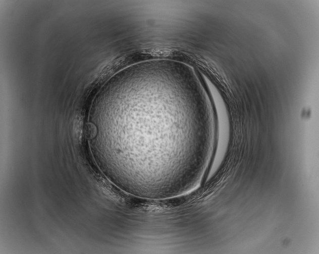 X0000100370697200806131038