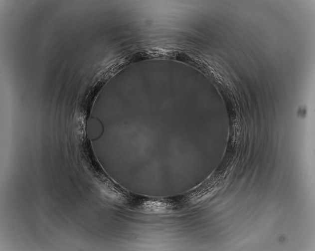 X0000100370699200806131038