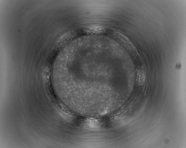 X0000100370701200806131038