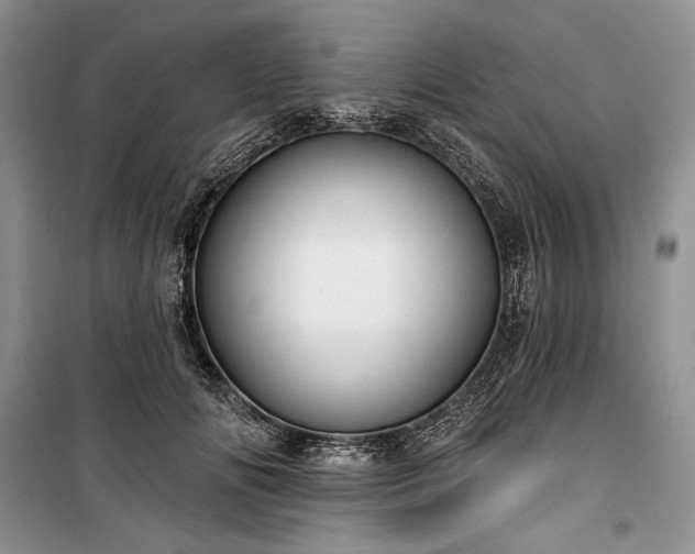 X0000100370702200806131038