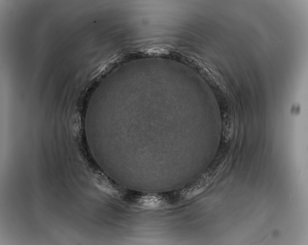 X0000100370704200806131038