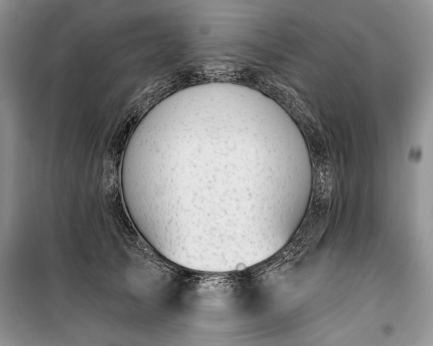 X0000100370705200806131038