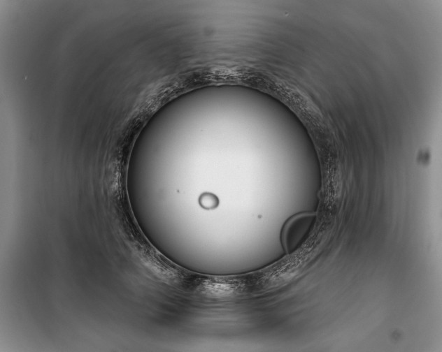 X0000100370706200806131038