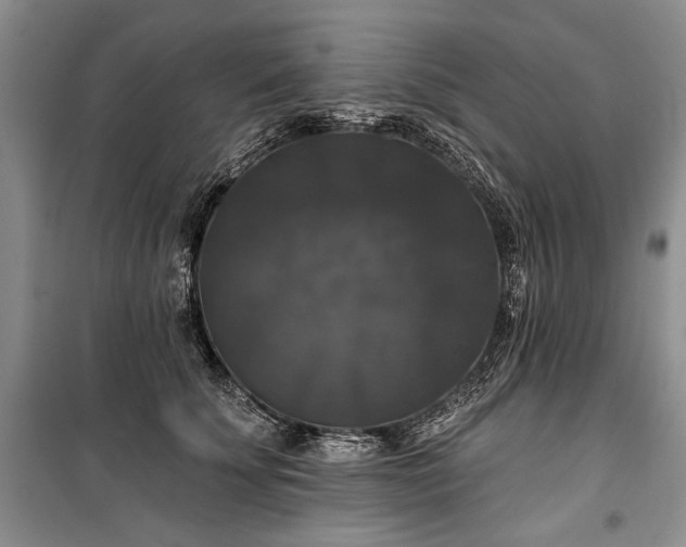 X0000100370707200806131038