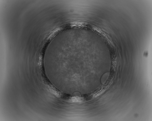 X0000100370708200806131038