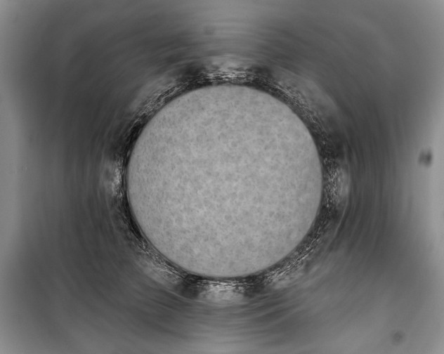 X0000100370709200806131038