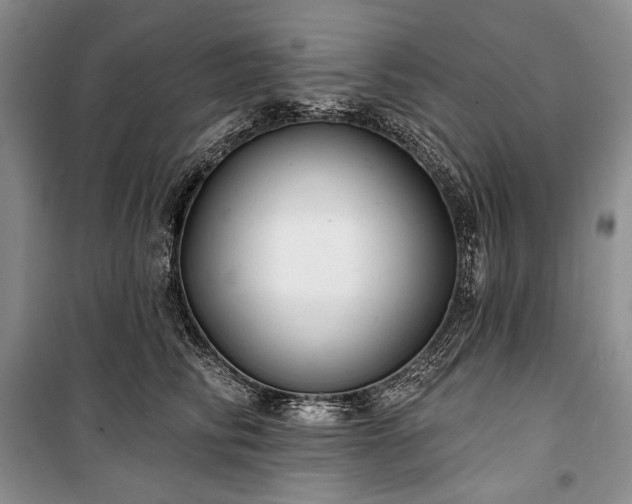 X0000100370710200806131038