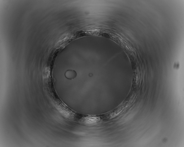 X0000100370711200806131038