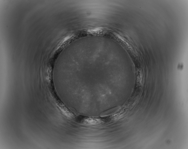 X0000100370712200806131038