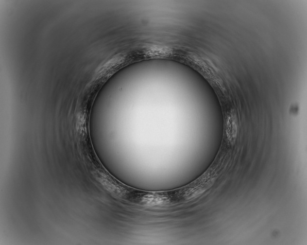 X0000100370714200806131038