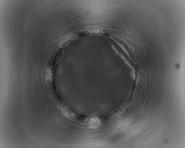 X0000100370715200806131038