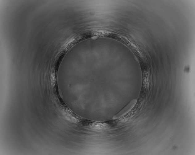 X0000100370716200806131038