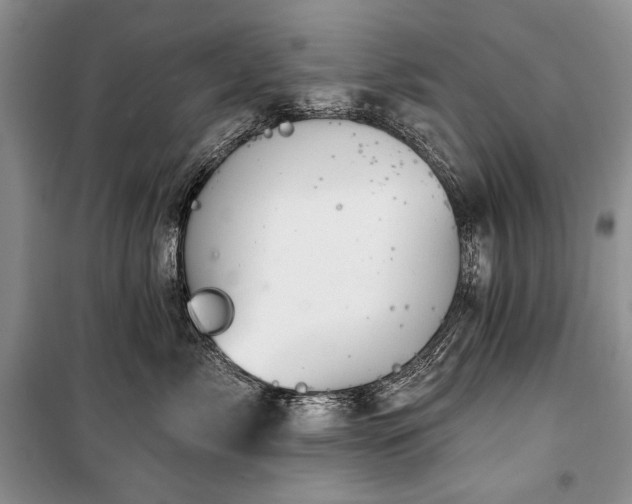 X0000100370717200806131038