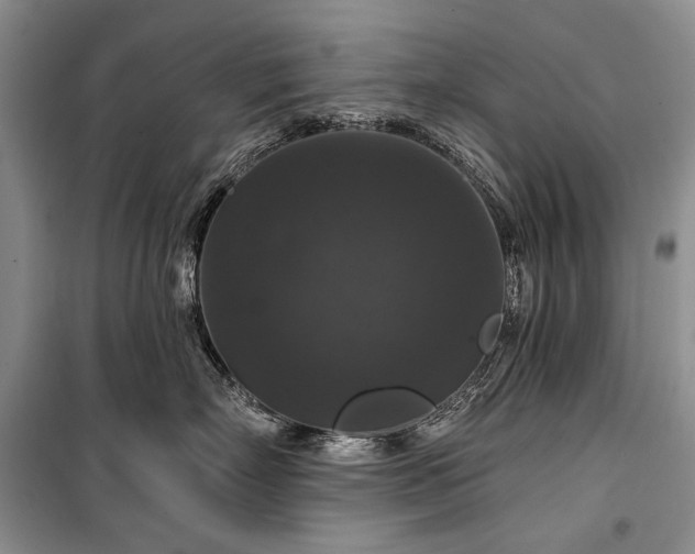 X0000100370718200806131038