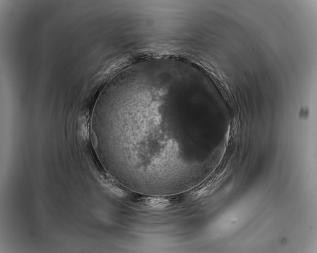 X0000100370719200806131038