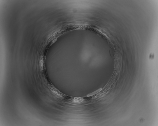 X0000100370720200806131038