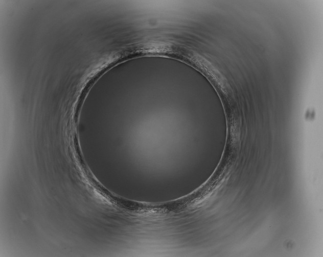 X0000100370721200806131037