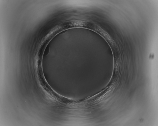 X0000100370722200806131037