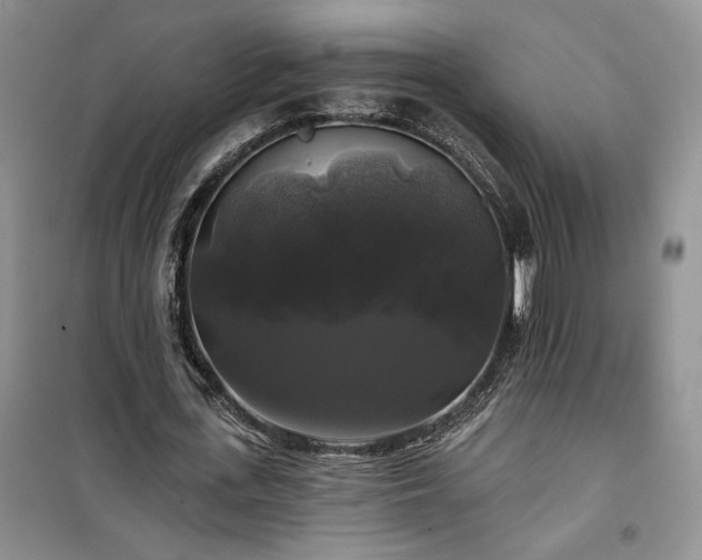 X0000100370723200806131037