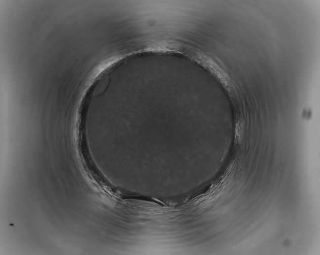 X0000100370724200806131037