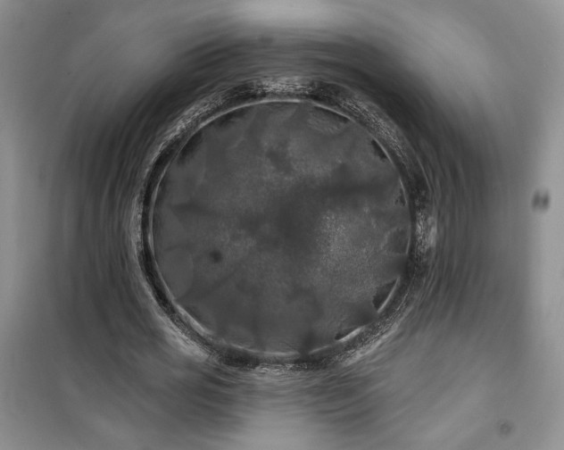 X0000100370725200806131037