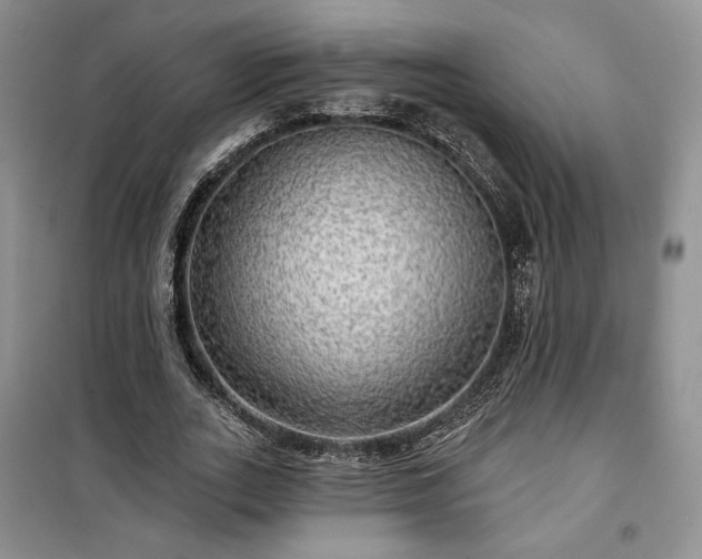 X0000100370727200806131037