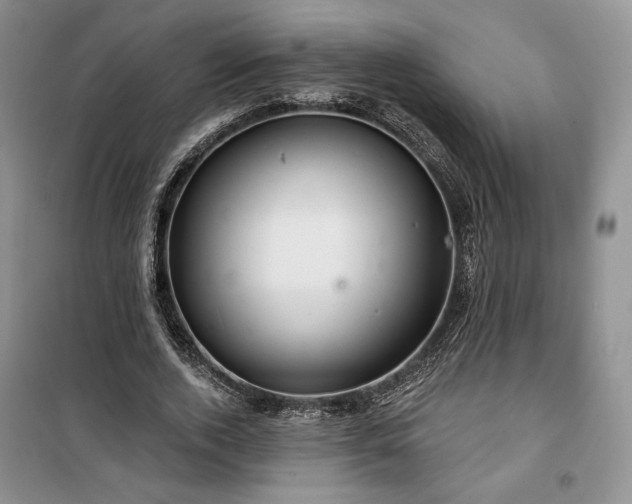 X0000100370728200806131037