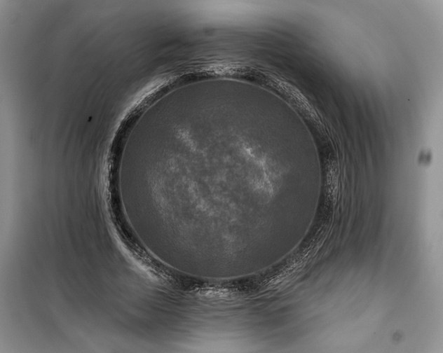 X0000100370730200806131037