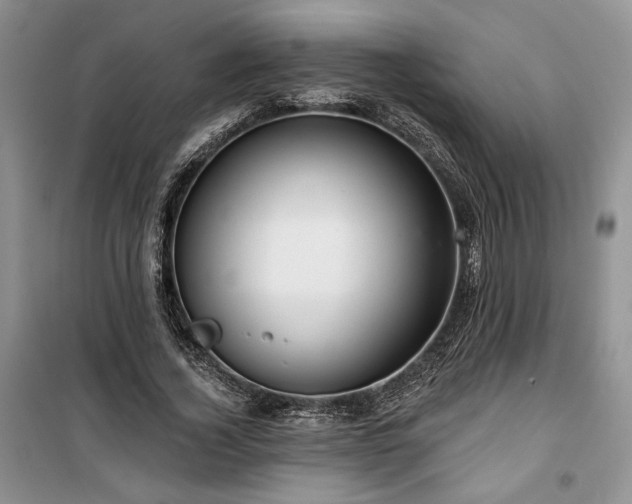 X0000100370732200806131037