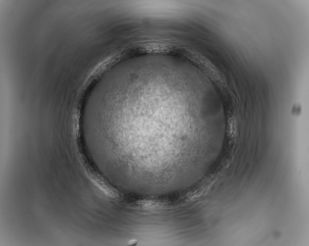 X0000100370733200806131037