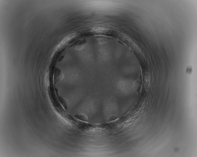 X0000100370734200806131037