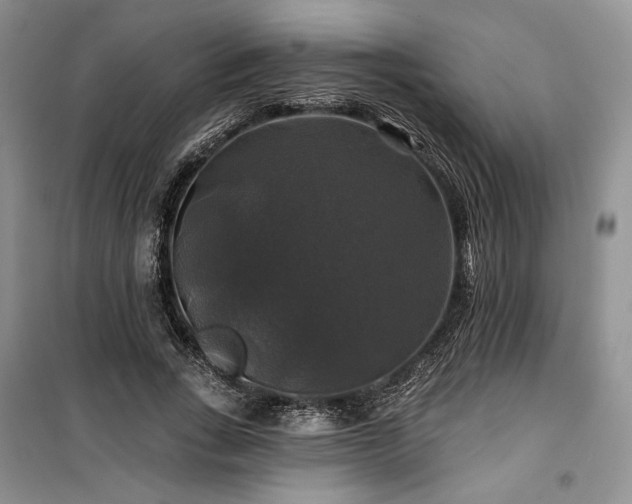 X0000100370735200806131037