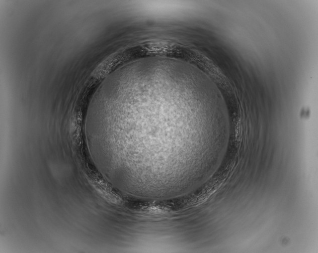 X0000100370737200806131037