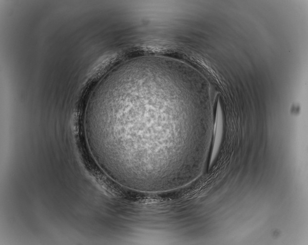 X0000100370738200806131037