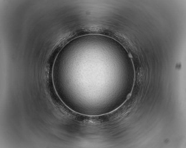 X0000100370739200806131037