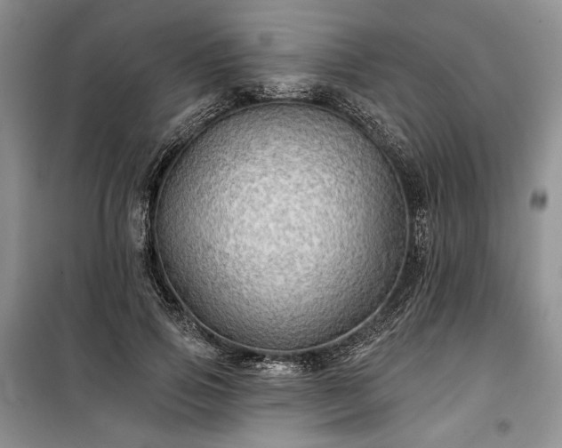 X0000100370741200806131037