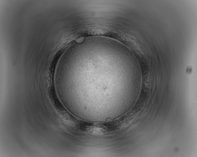 X0000100370743200806131037