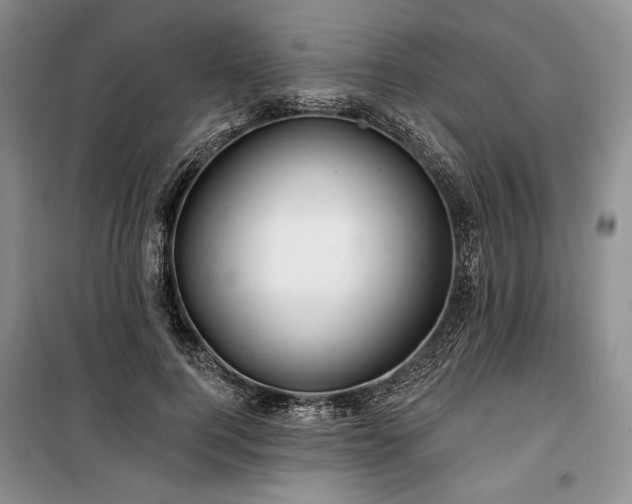 X0000100370744200806131037